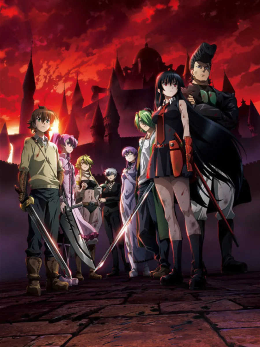 Akame ga Kill body pillows