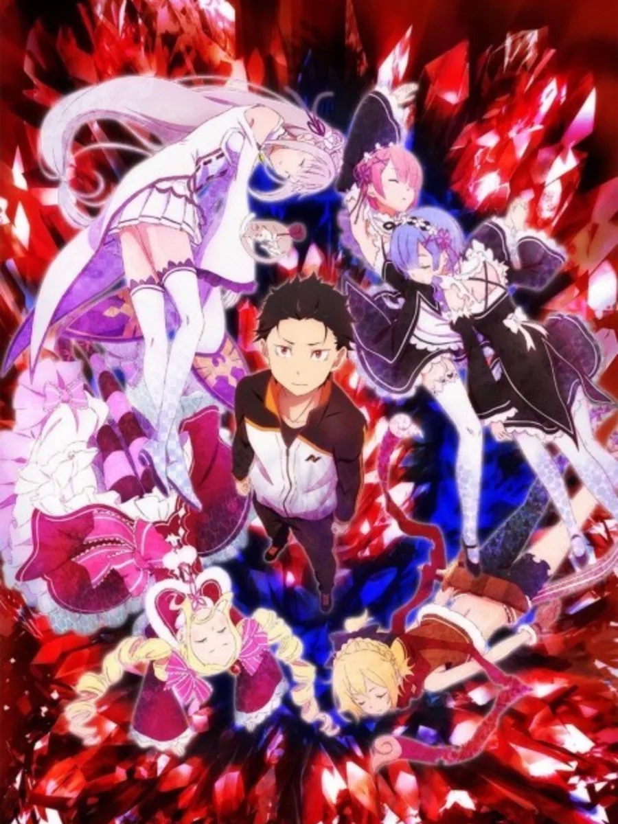 Re:Zero body pillows