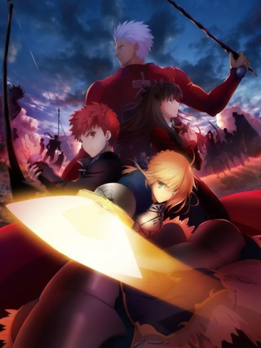 Fate body pillows